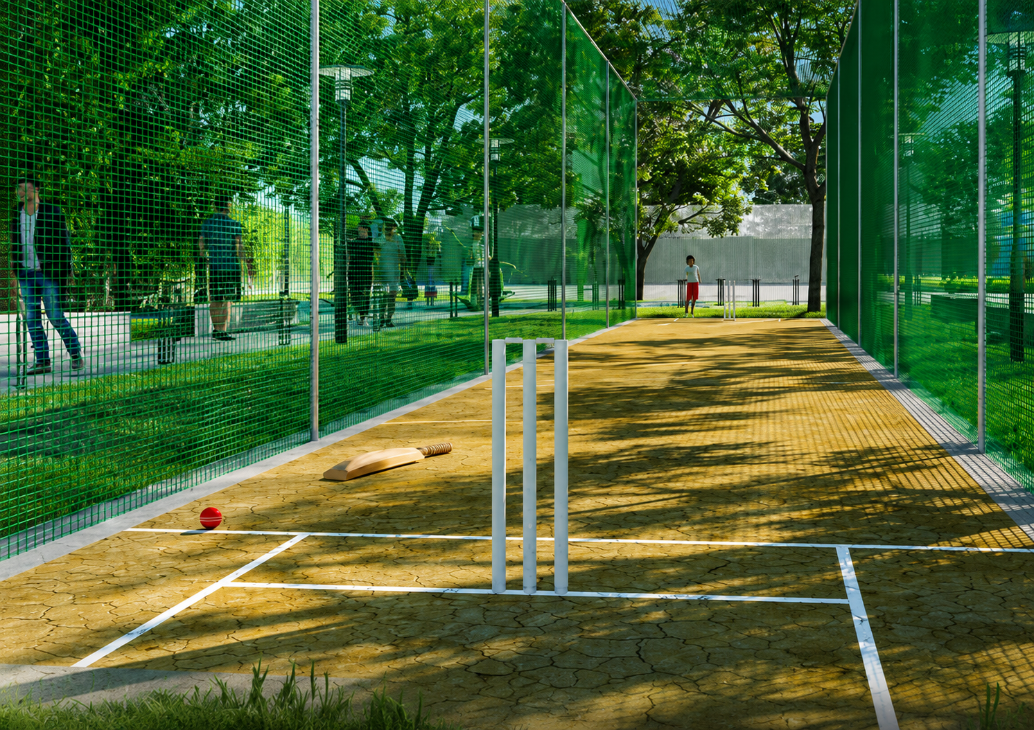 Cricket Net
